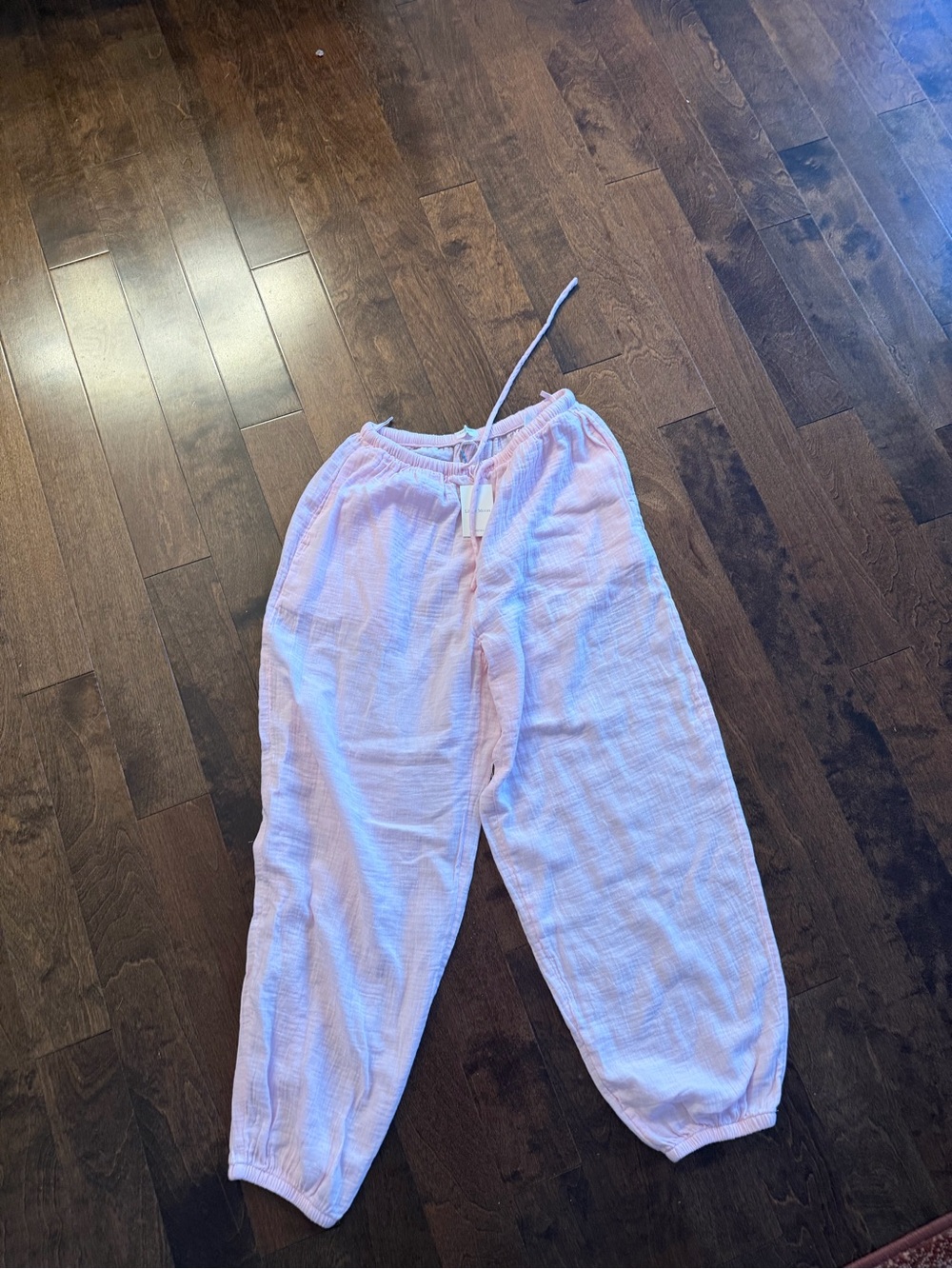 Aritzia Little Moon Light Pink Drawstring Jogger Pants with tags